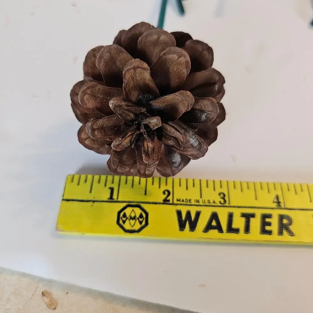 30 Natural Pine Cone Floral Picks 7in Green Wood Stems Wreath Craft Rustic Decor